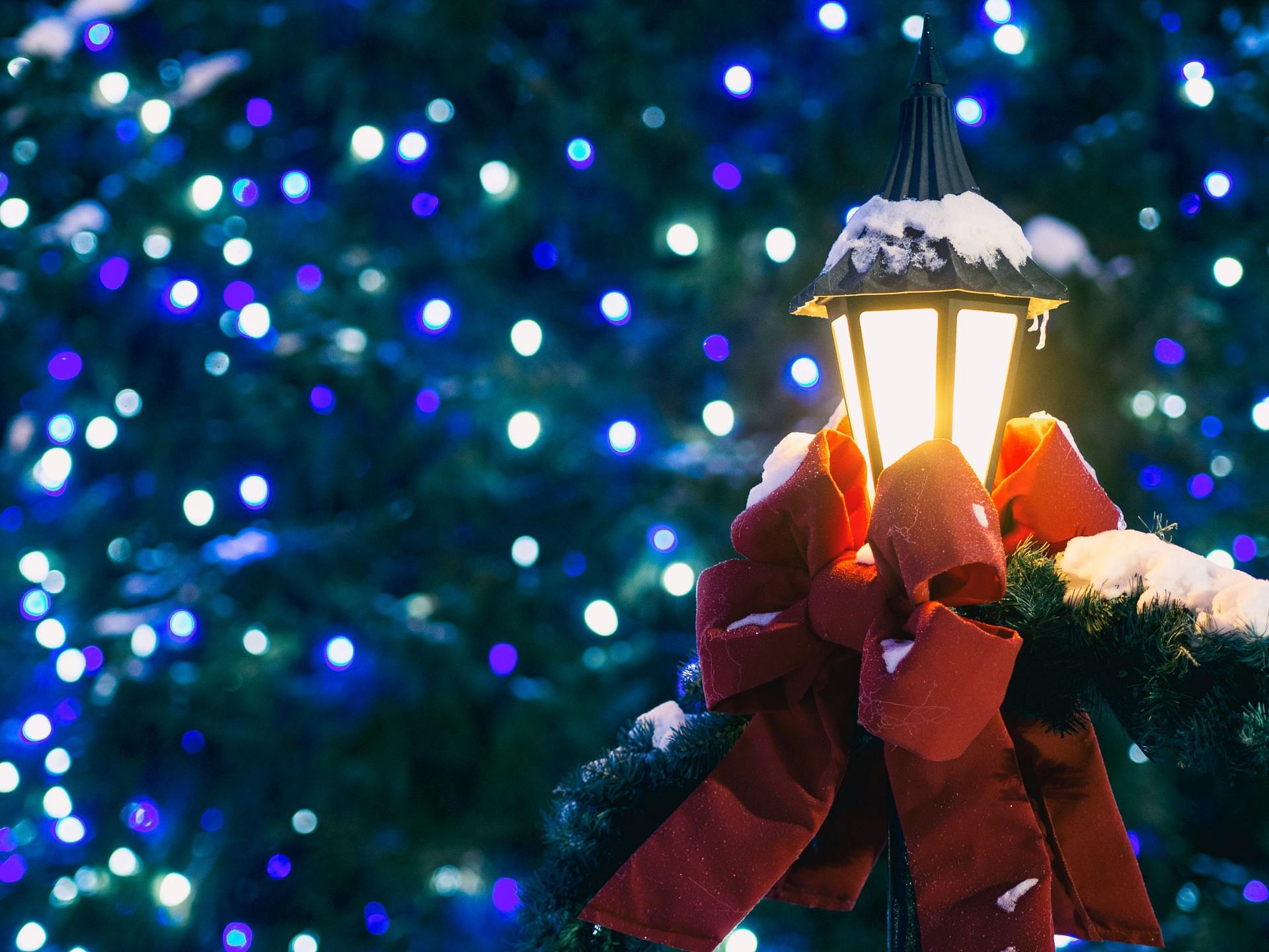 Christmas Fruits (Image via Unsplash/Aaron Burden)